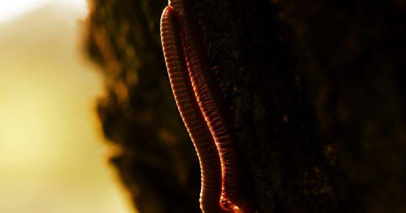 Freepik/rawpixel.com